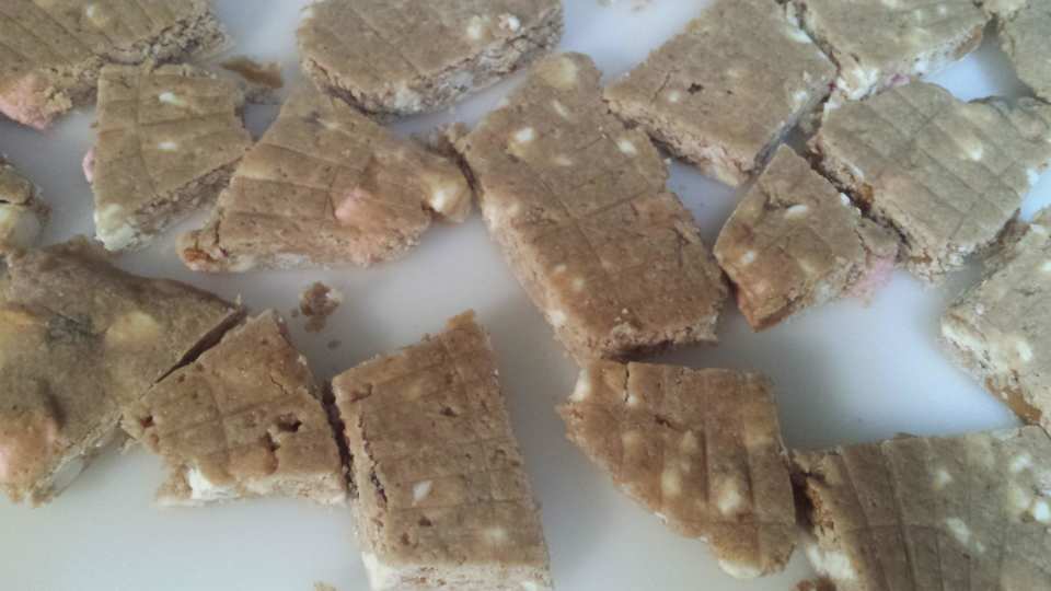 photo by aterveen_1487