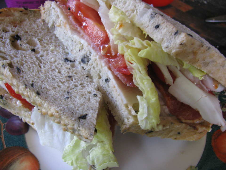 photo by Leggy Peggy