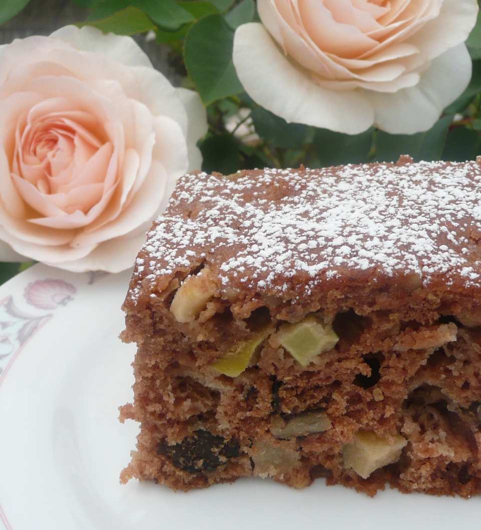 photo by Stardustannie