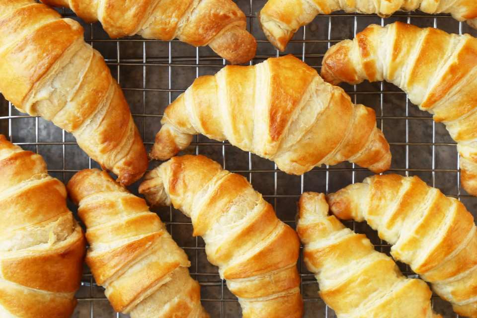 photo by Jonathan Melendez 