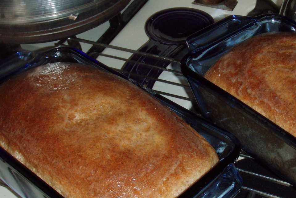 photo by QueenBee49444