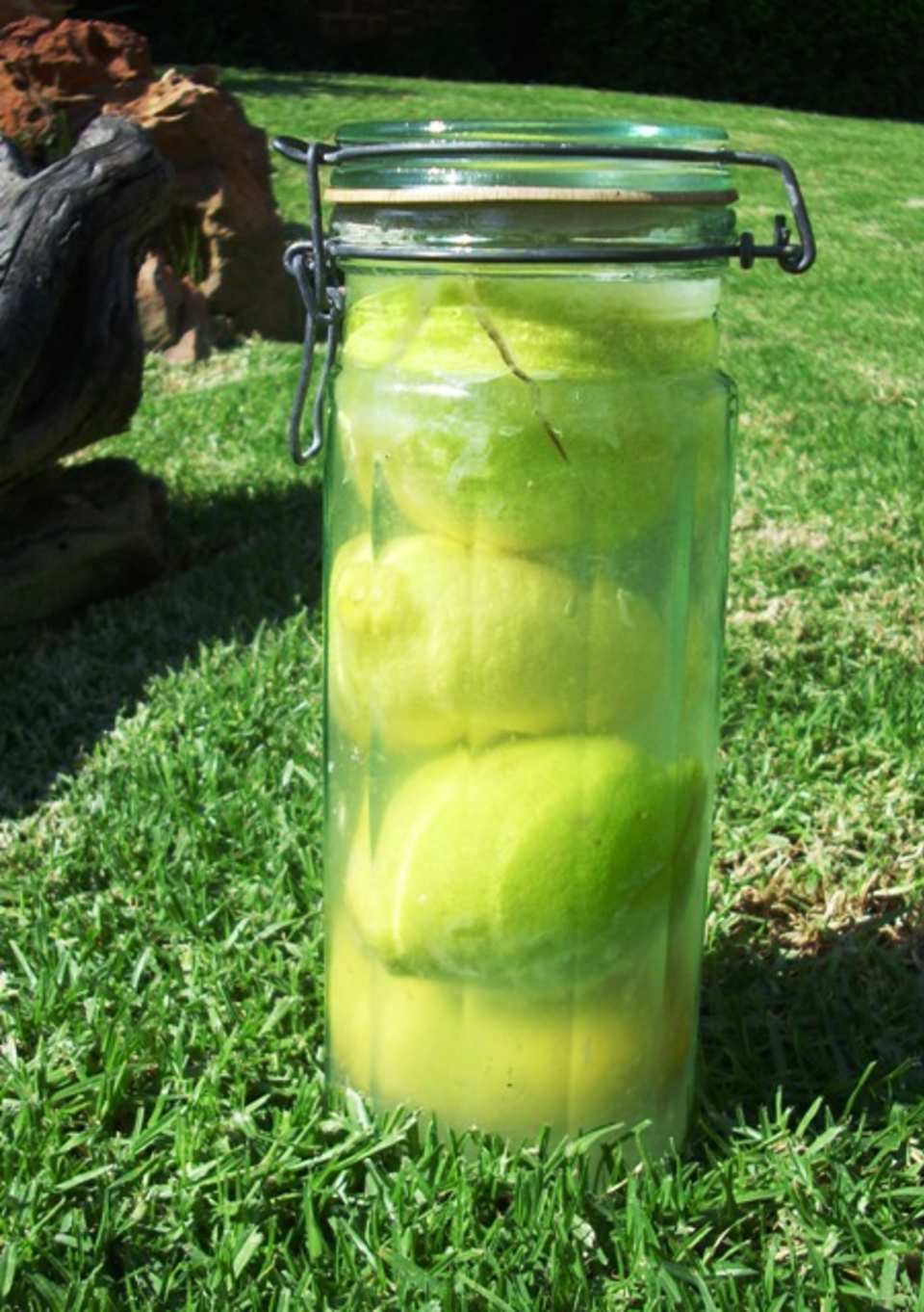 photo by Karen Elizabeth