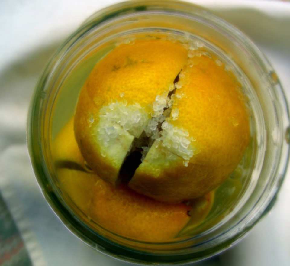 photo by Andi Longmeadow Farm