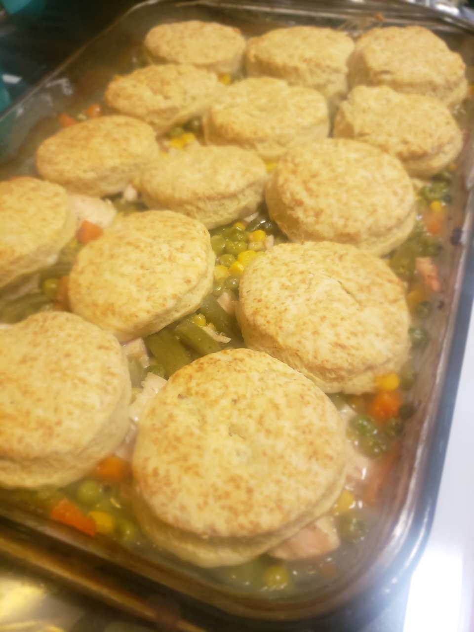 photo by Stefanie H.