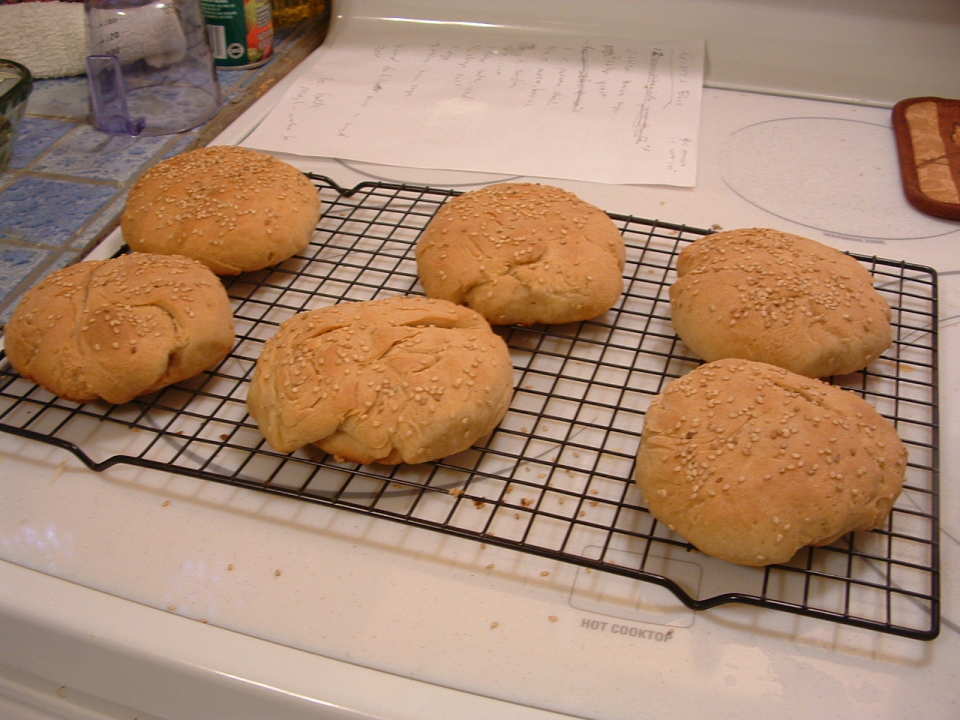 photo by Kristi Waterworth