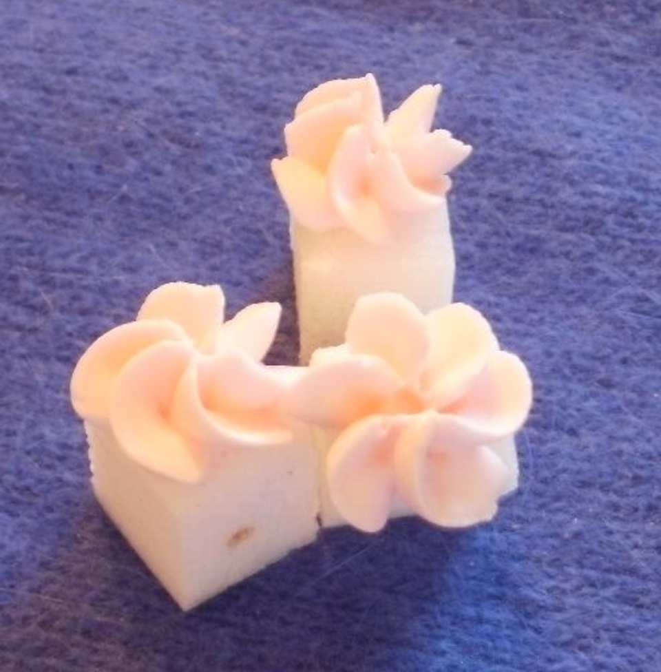 photo by Marie Nixon