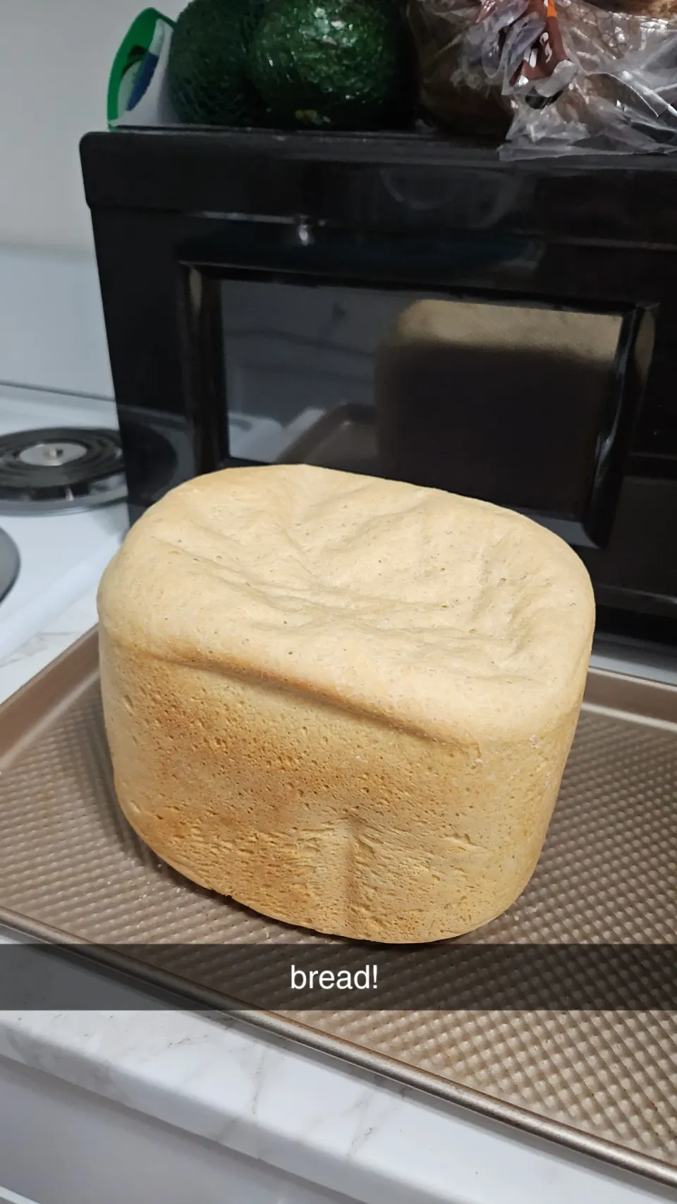 photo by madelynnwilcox51