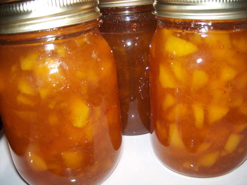 photo by Elly in Canada