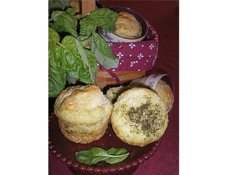 photo by Julie Bs Hive