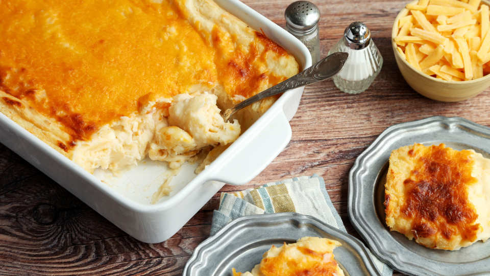 photo by Jonathan Melendez 