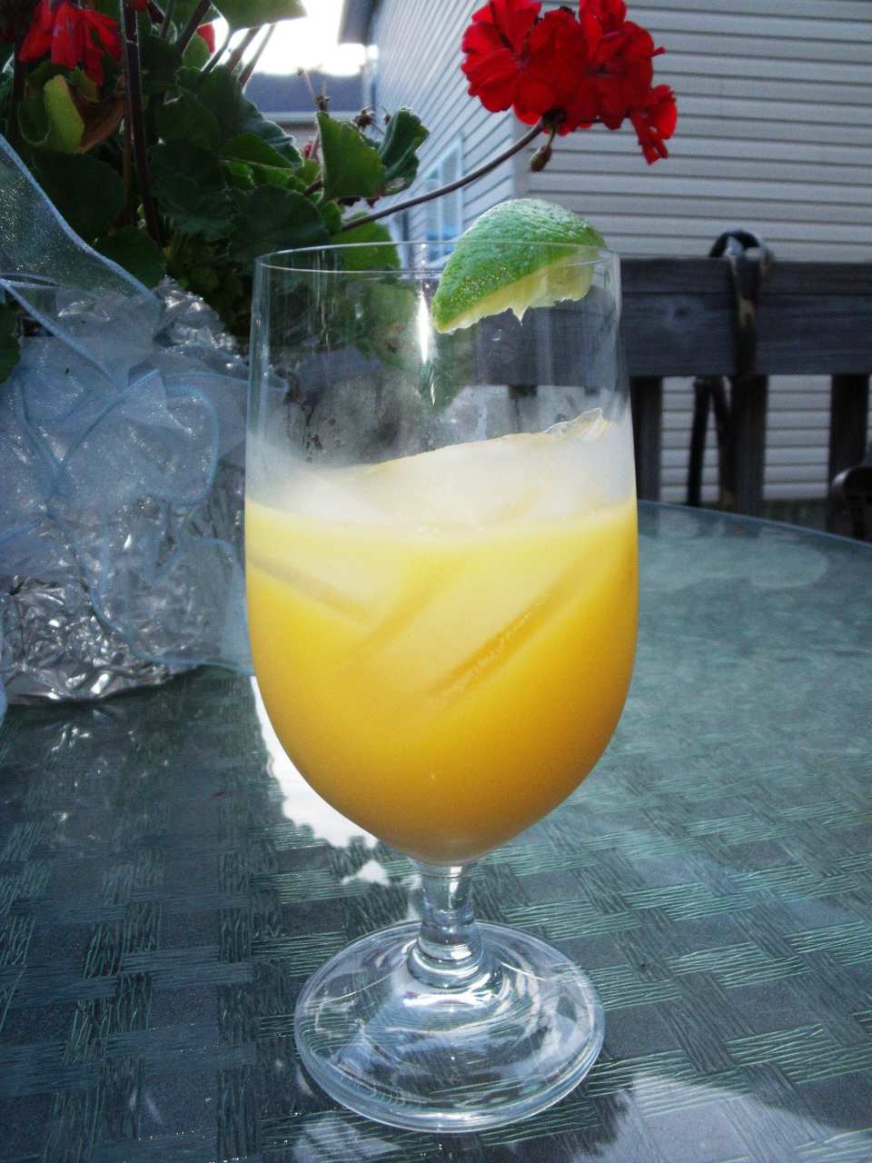 photo by Maryland Jim