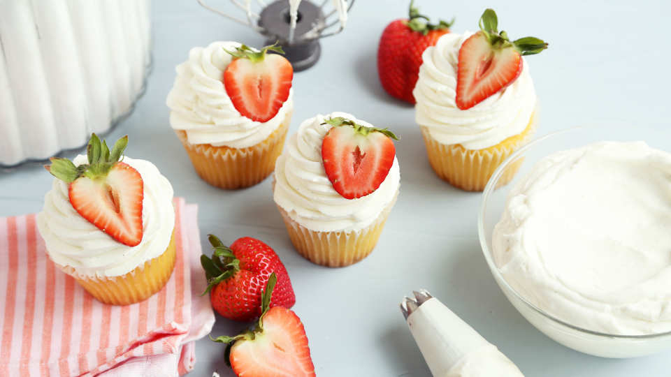 photo by Jonathan Melendez 