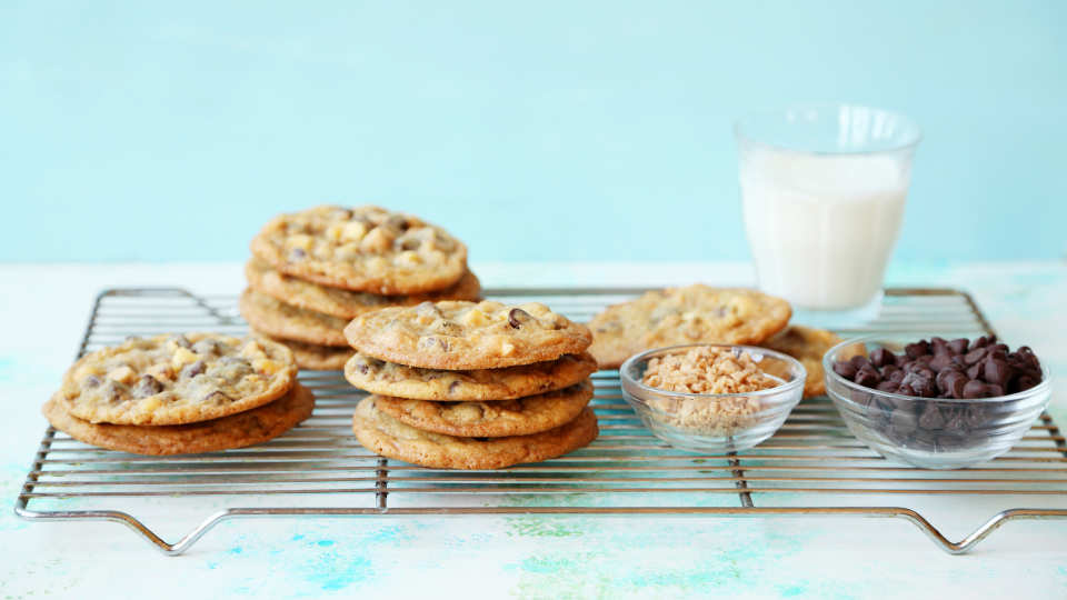 photo by Jonathan Melendez 