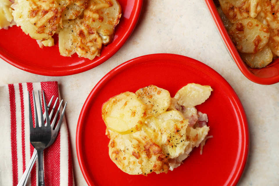 photo by Jonathan Melendez 