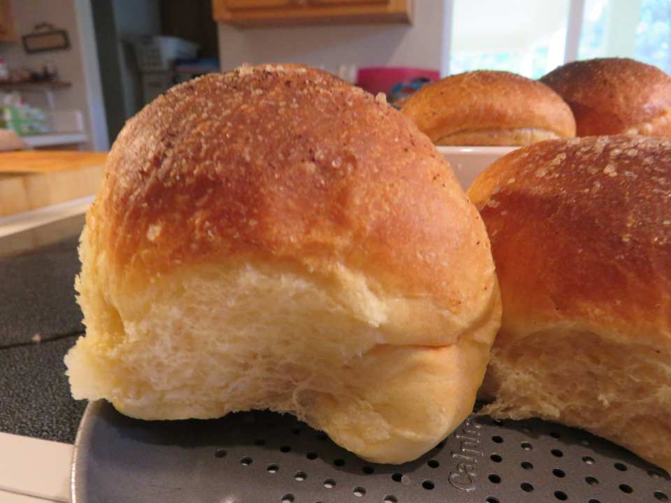 photo by Bonnie G #2