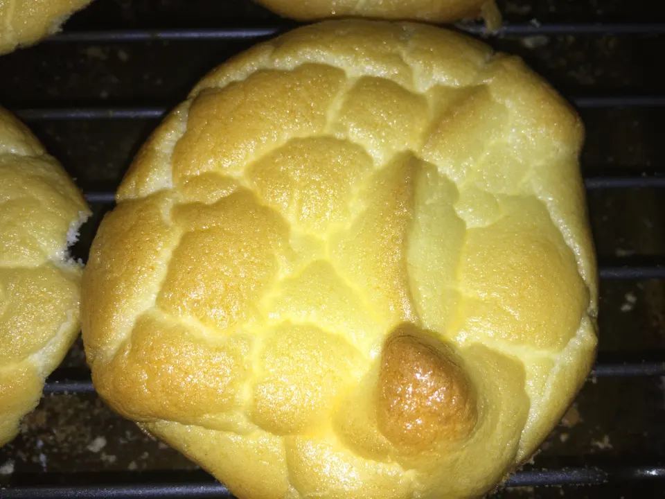 photo by amberfarhat