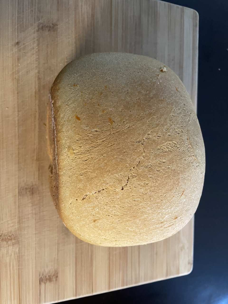 photo by MISS_ROSEFREEDOM