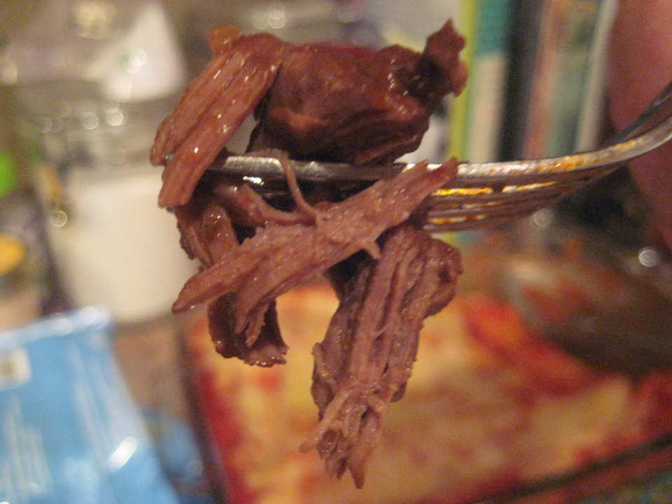 photo by Tropical Texan