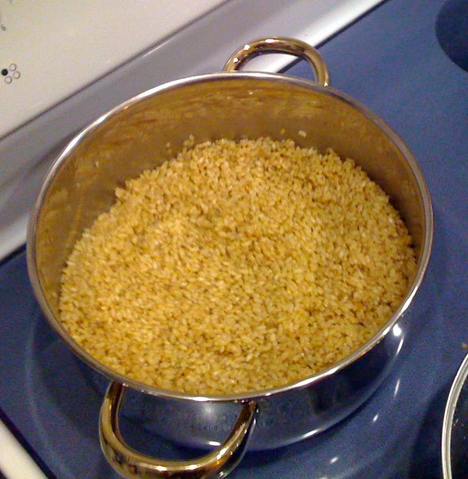 Mia's Incredible Brown Rice Recipe - Food.com
