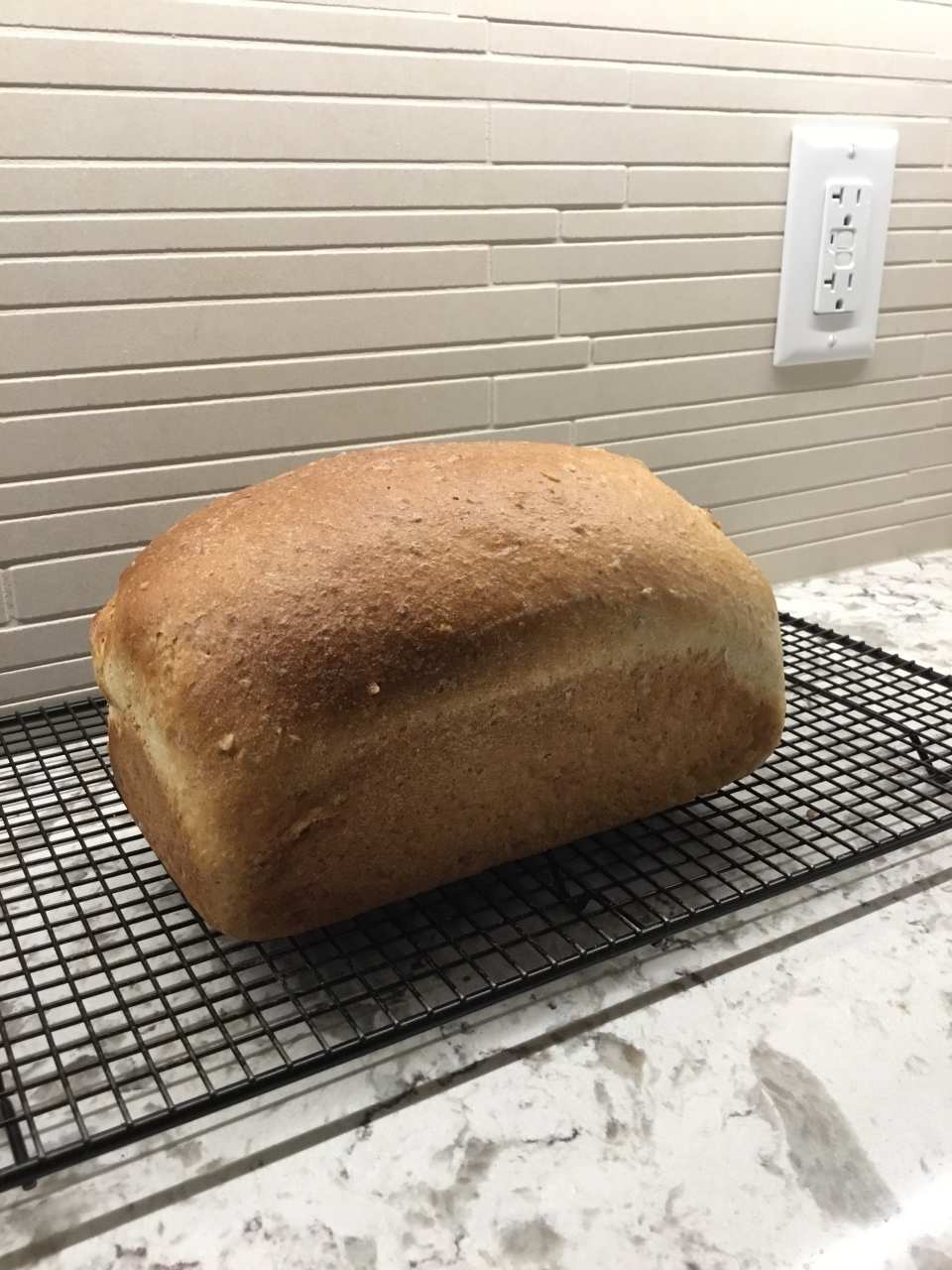 photo by mcgeeonthebeach