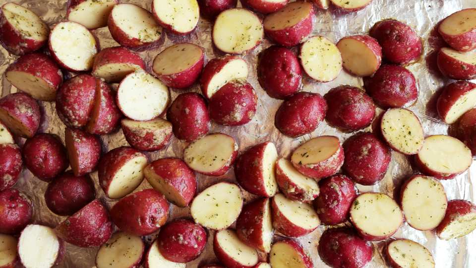 photo by Jonathan Melendez 