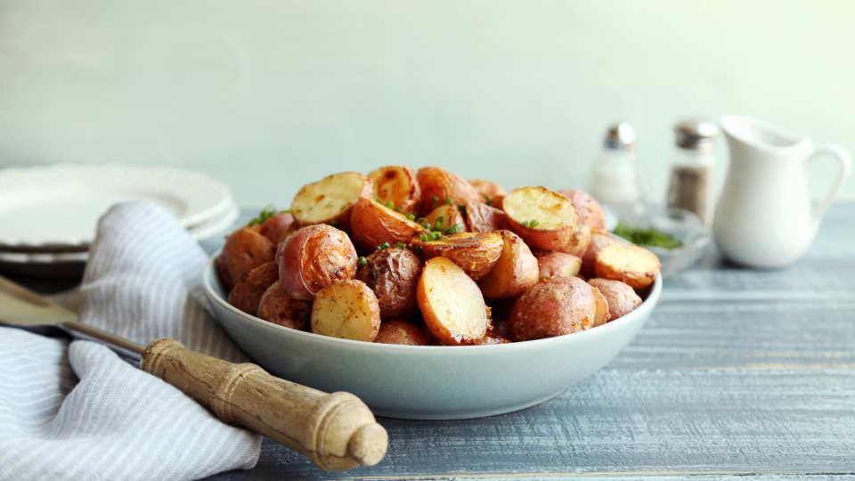 photo by Jonathan Melendez 