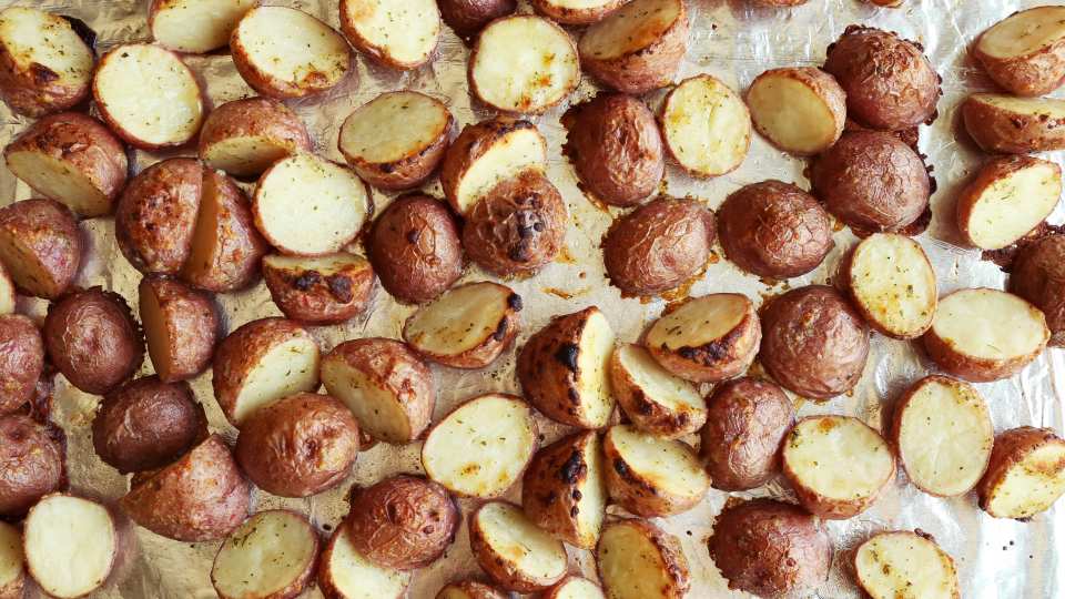 photo by Jonathan Melendez 