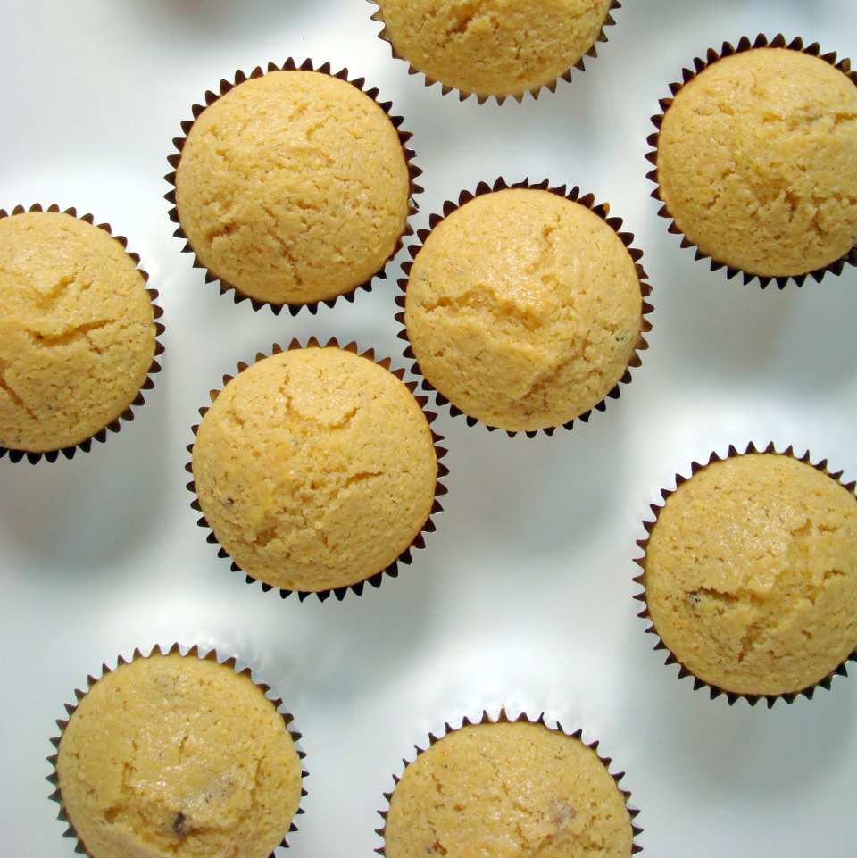 photo by spicyperspective