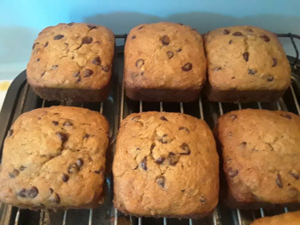 photo by Stephanie W.