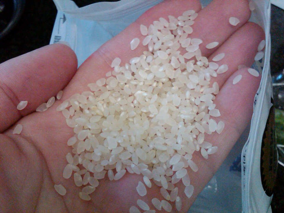 photo by Nikki Dinki Cooking