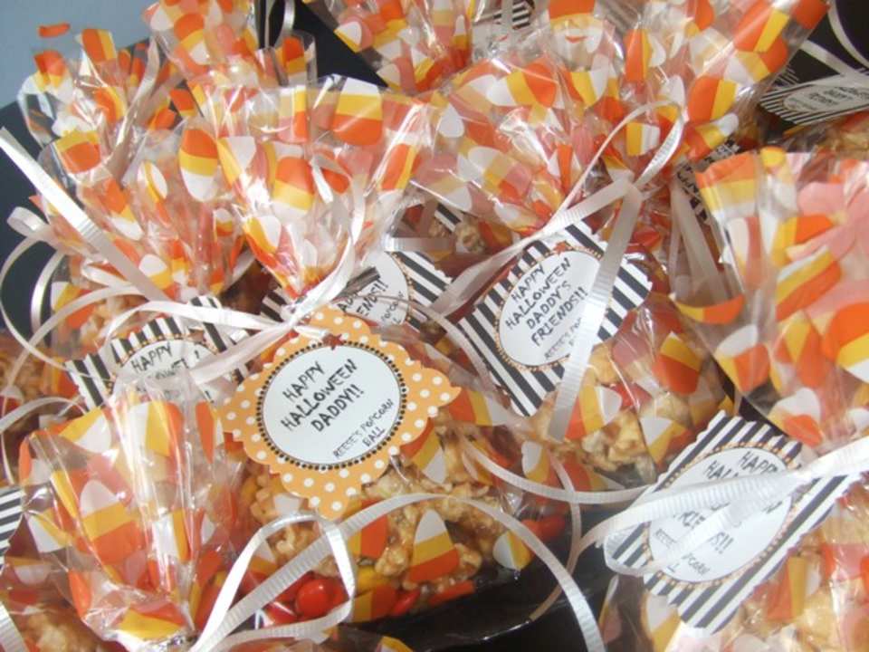 photo by themcmullens96_7874