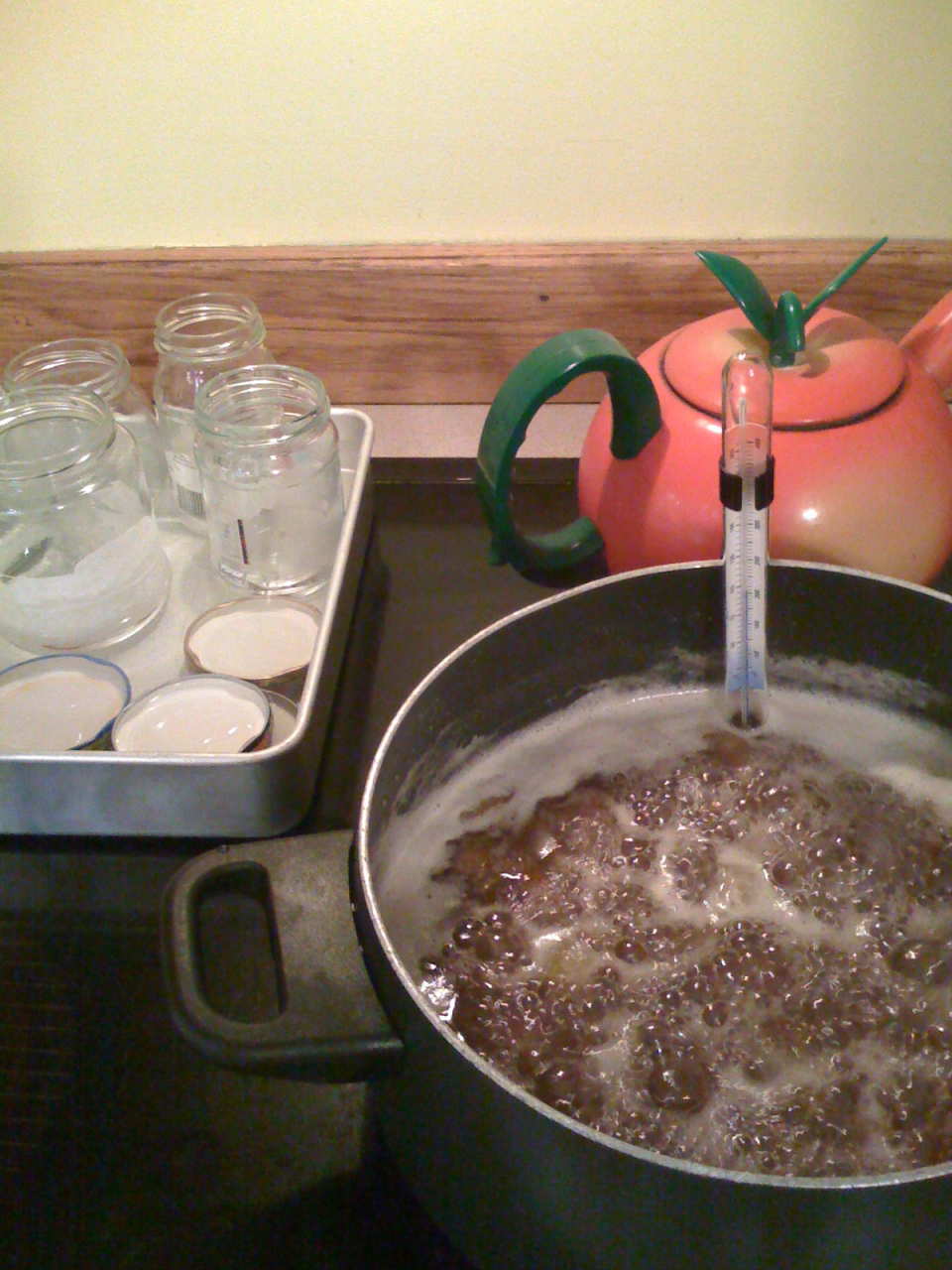 photo by LaurietheLibrarian