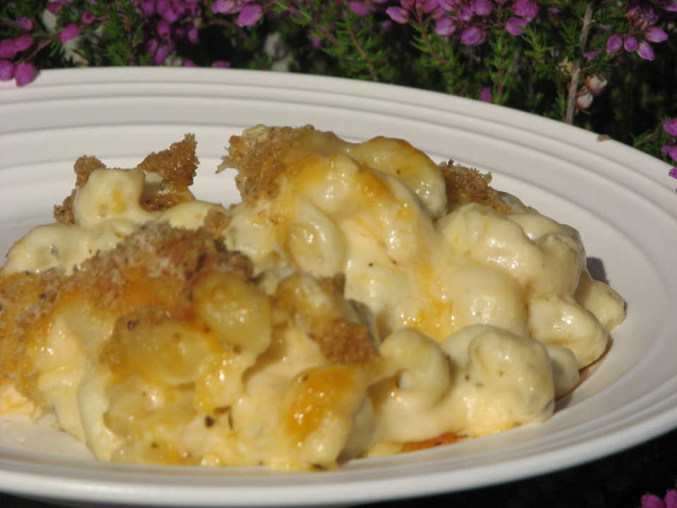 photo by Bonnie G #2