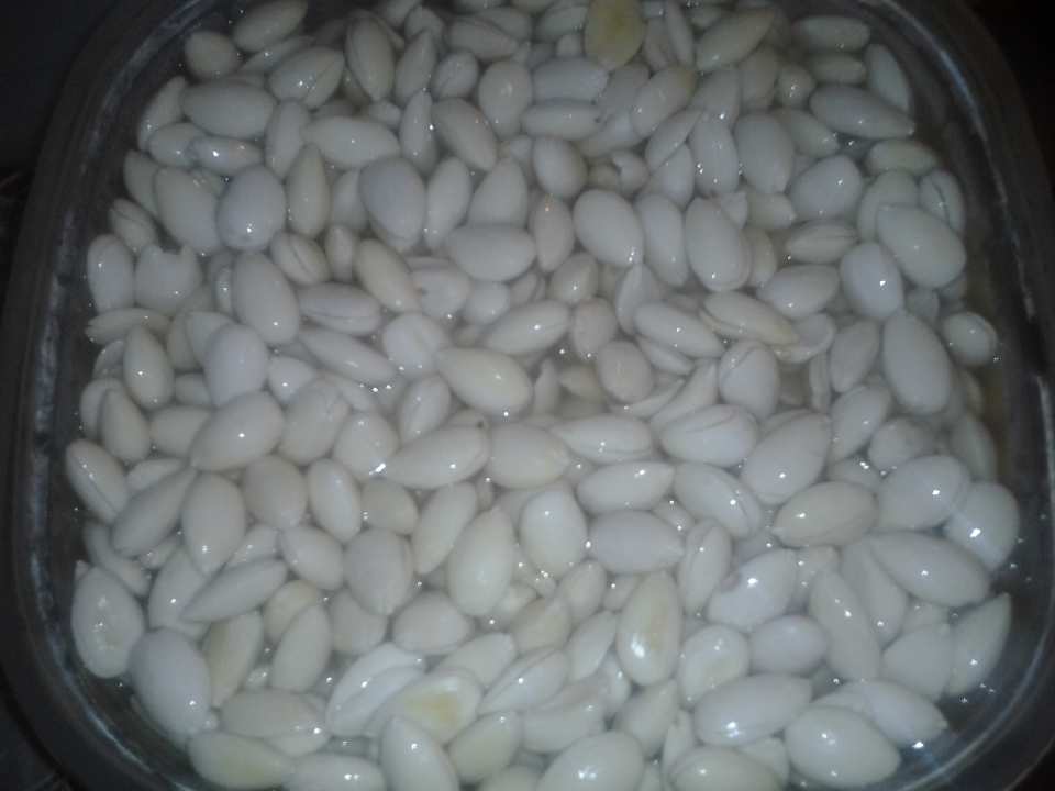 photo by Newbie-Almondina