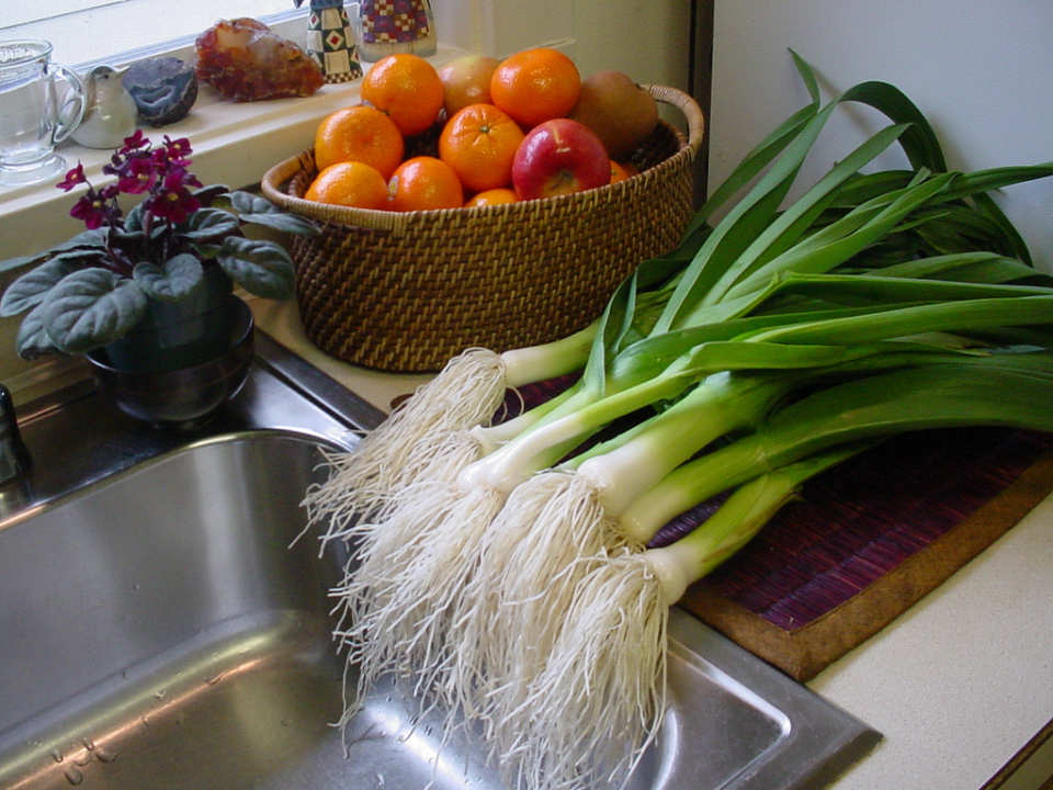 photo by bonitabanana