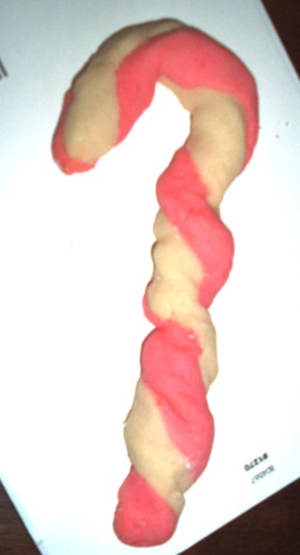 photo by DogAndCatDoc