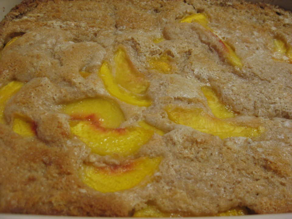 photo by Charlotte J