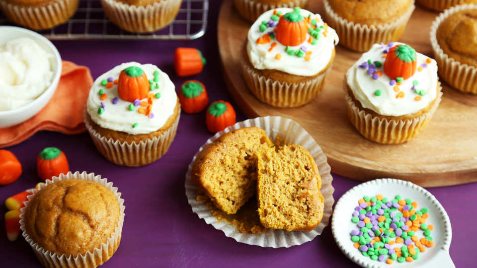 photo by Jonathan Melendez 