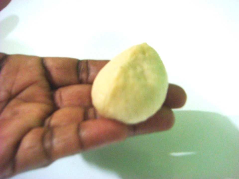 photo by stelladias77_