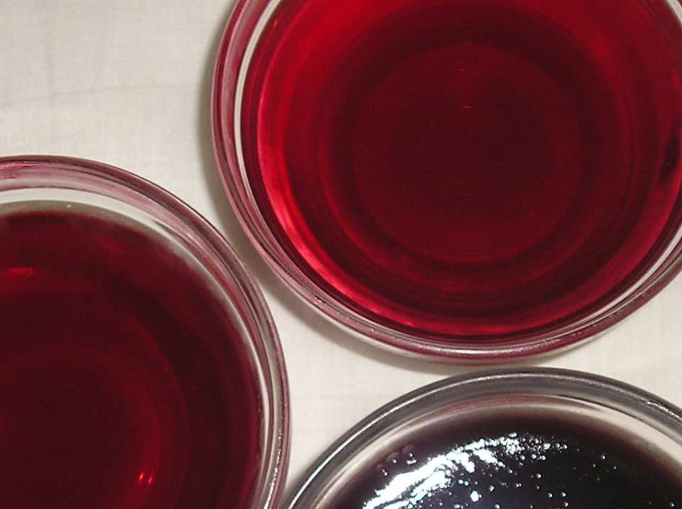 photo by Jenny Sanders