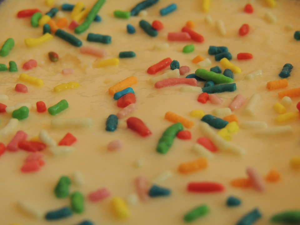 photo by JinithA SanjO