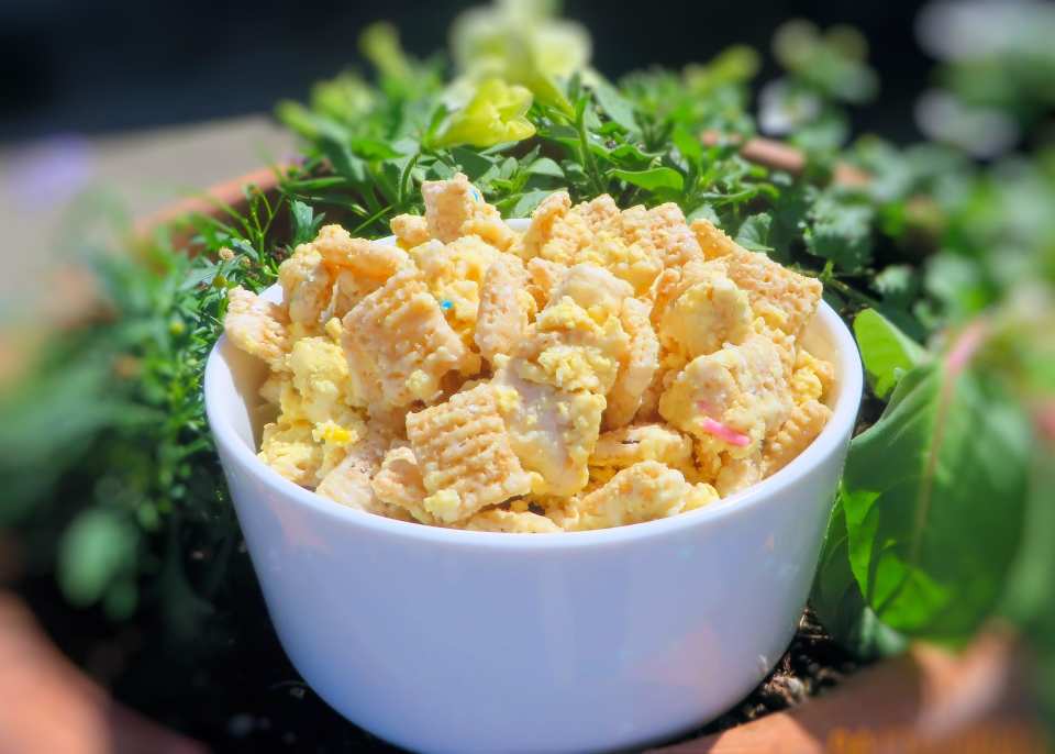 photo by Bonnie G #2