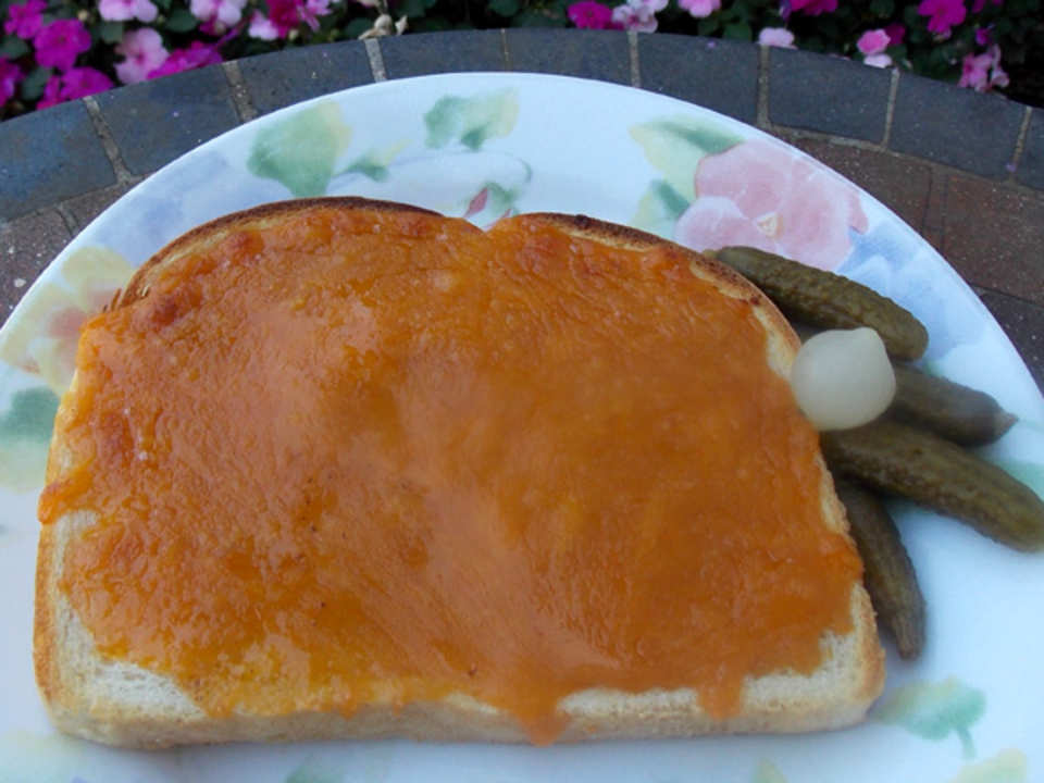 photo by Lavender Lynn