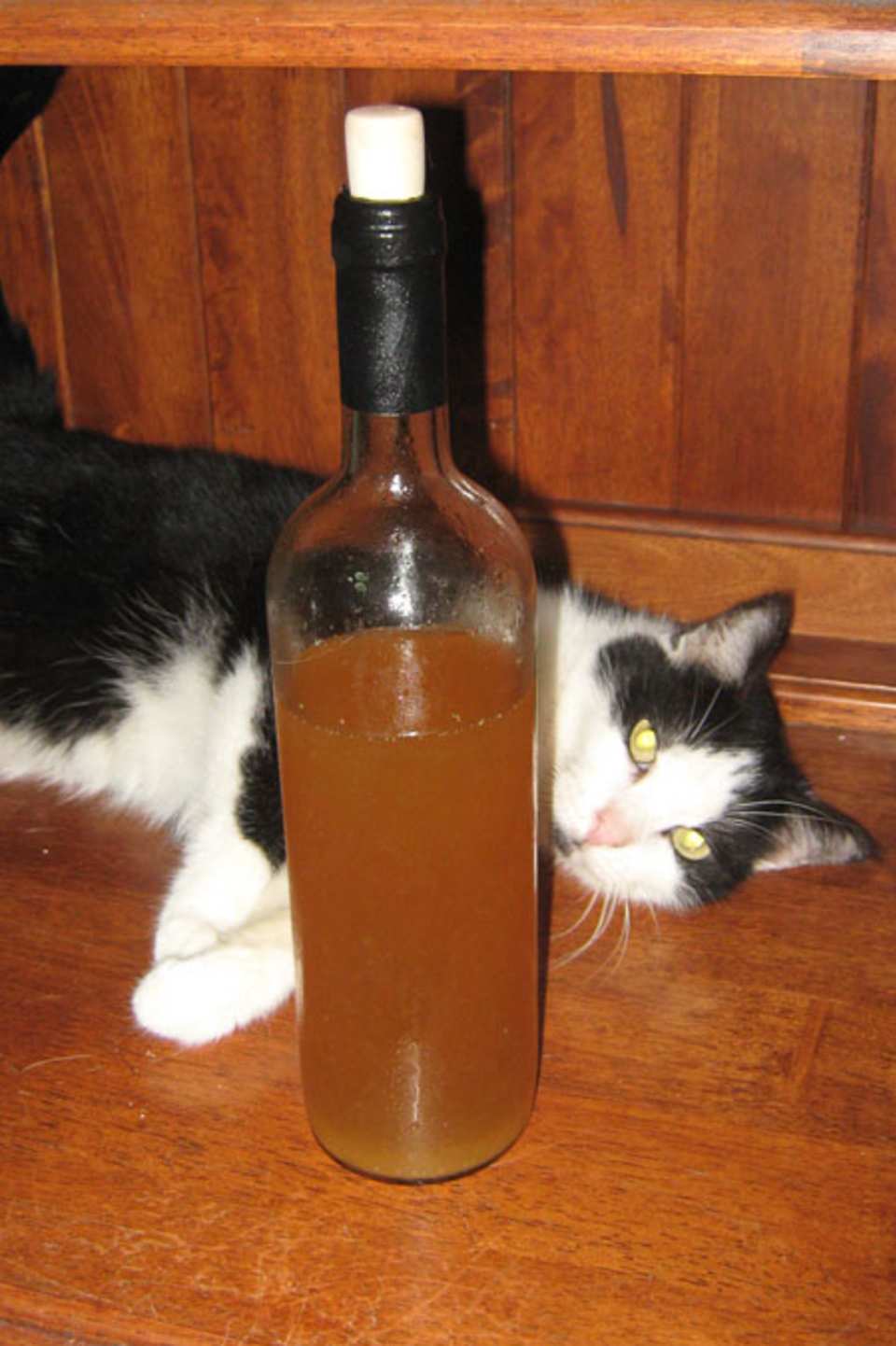 photo by Vnut-Beyond Redempt