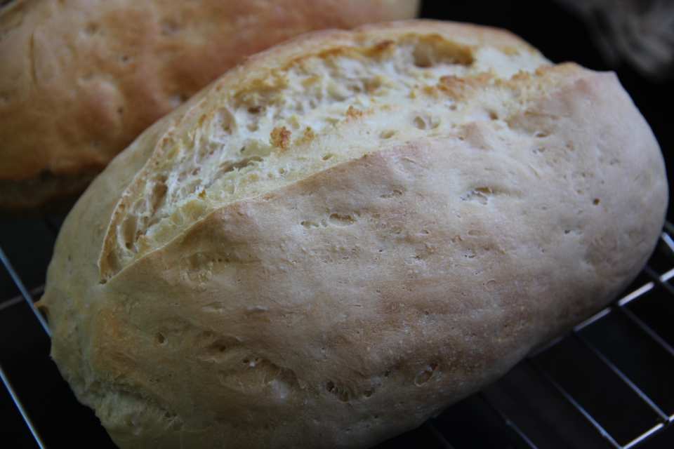 photo by Leggy Peggy