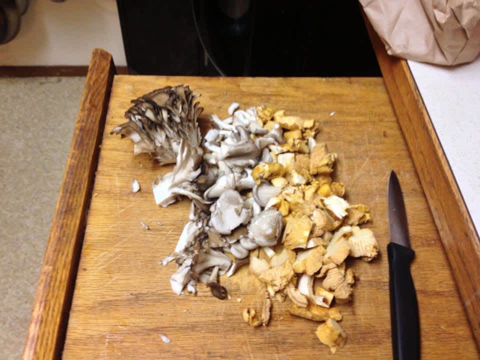 photo by French Terrine