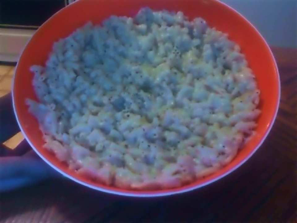 photo by sofiahernandezcruz