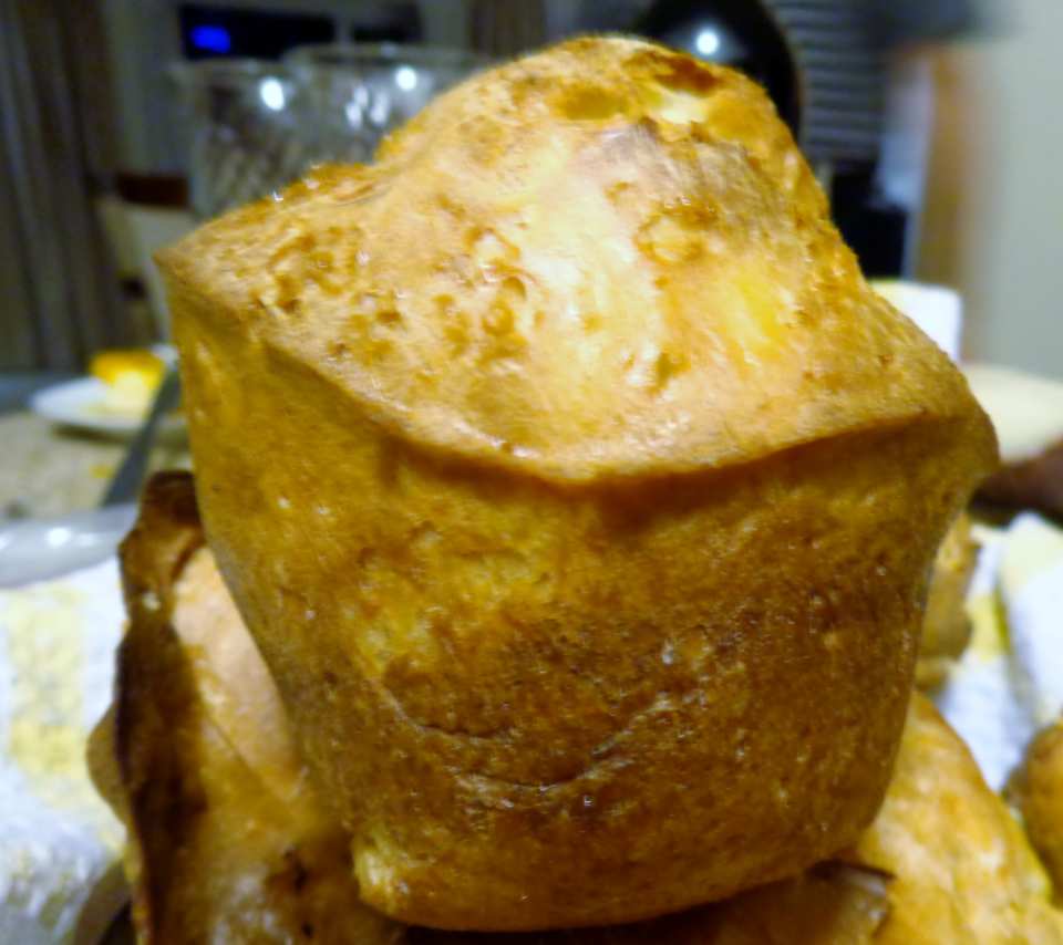 photo by Bonnie G #2