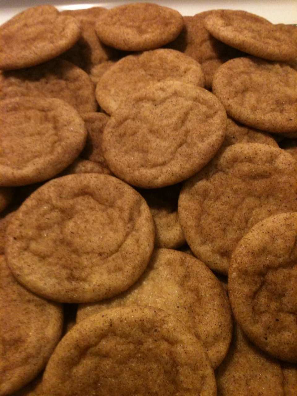 photo by Karen=^..^=