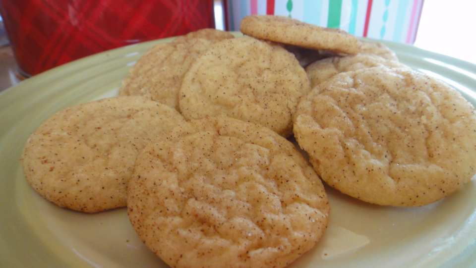 photo by Parrot Head Mama